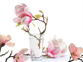 künstliche Magnolien / Kunstblumen Frühling