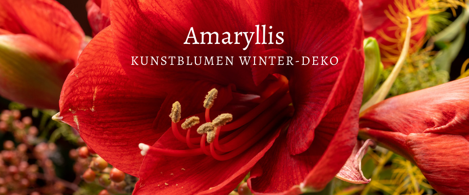 Künstliche Amaryllis Blüte rot als dekoration im Winter