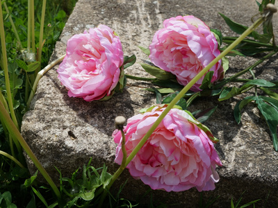 künstliche Pfingstrosen rosa elegante Blüten im Frühling