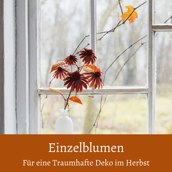 Einzelne künstliche Blumen rot orange mit Herbst Laub in Keramikvase weiß am Fenster