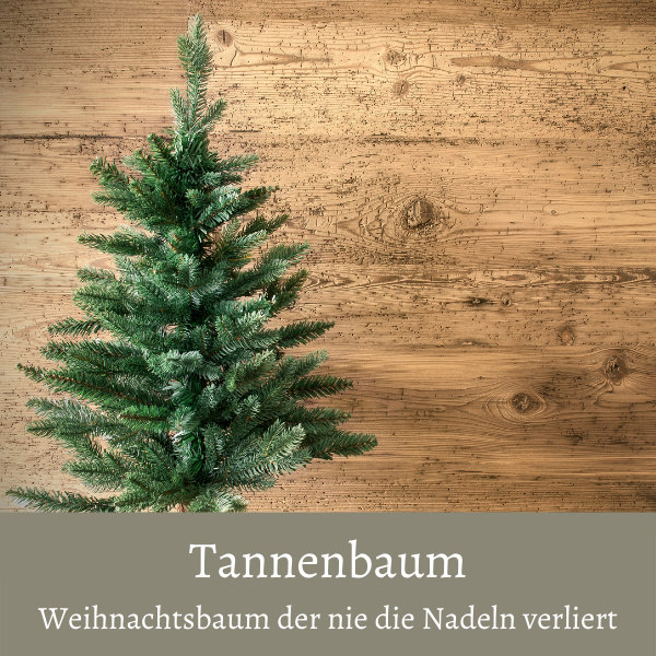künstlicher Tannenbaum grün der nie Nadeln verliert zur deko als Weihnachtsbaum kaufen bei dekotreff dresden