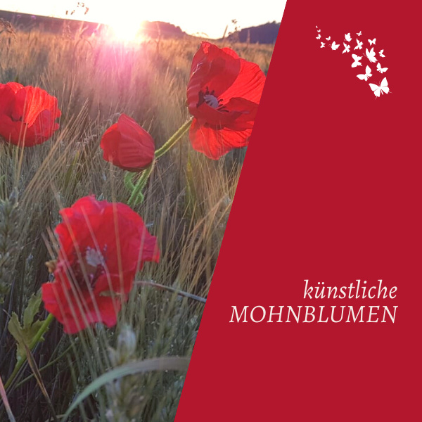künstliche Mohnblumen rot von dekotreff auf Getreidefeld in der sächsischen Schweiz
