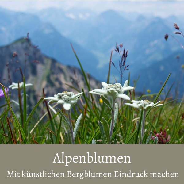 Mit künstlichen Bergblumen Eindruck machen und Alpenblumen im dekotreff Onlineshop kaufen