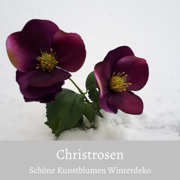 künstlicher Christrosenzweig rosa steckt im Winter imSchnee
