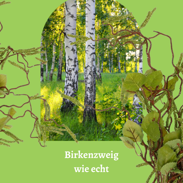 Wald mit Birkenstämen und künstlichen Birkenzweigen mit grünen Blättern