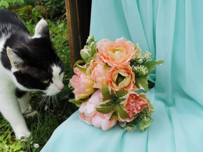 Katze richt an künstlichen Blumenstrauß mit Frühlingsblumen