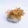 Gold Hochzeit Haarschmuck & Anstecker im Set Perlen Blüten