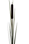 künstliche Schilfkolben mit Gras 110cm / großer Kunstblumenzweig