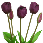 Real touch Tulpen Bund violett 48cm Tulpen Strau&szlig;