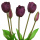 Real touch Tulpen Bund violett 48cm Tulpen Kunstblumenstrauß