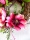 Blumenkranz Fr&uuml;hling / k&uuml;nstlicher Magnolien Kranz 30cm