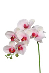 k&uuml;nstlicher Orchideen Zweig &quot;Phalaenopsis&quot;...