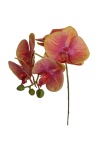 Kunst Orchideen "Phalaenopsis" 35cm...