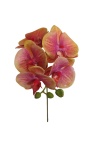 Kunst Orchideen &quot;Phalaenopsis&quot; 35cm Kunstpflanze Real Touch Blumen