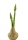 Kunstblumen Amaryllis Knospe mit Zwiebel 30cm