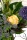 Kunstblumenstrauß Allium violett 38cm