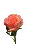 Rosenknospe lachs / rosa, 45cm Kunstrosen