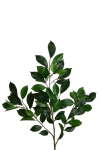künstlicher Blätterzweig Ficus 60cm