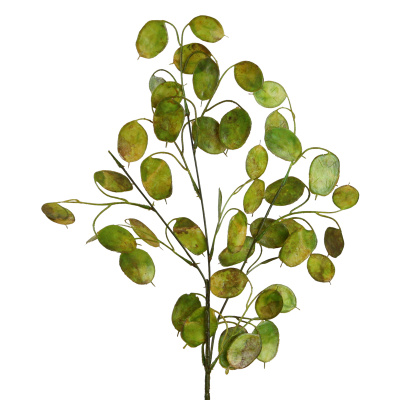 künstliches Silberblatt Lunaria 75cm