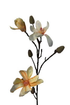 Großer künstlicher Magnolienzweig Creme 90cm Seidenblumen Kunstblume Magnolie