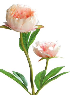 Pfingstrosen lachs-rosa Kunstblumen 60cm