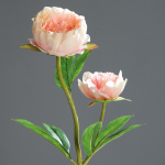 Pfingstrosen lachs-rosa Kunstblumen 60cm