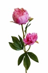 Pfingstrosen rosa Kunstblumen 60cm