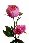 Pfingstrosen rosa Kunstblumen 60cm