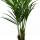 künstliche Palme 120cm Kunstpflanzen