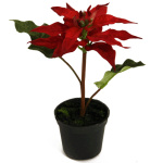 k&uuml;nstliche Weihnachtsstern Topfpflanzen rot 16cm