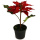 künstliche Weihnachtsstern Topfpflanzen rot 16cm