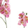 k&uuml;nstliche Orchideen Phalaenopsis rosa 60cm