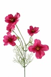 künstliche Cosmea rosa 65cm