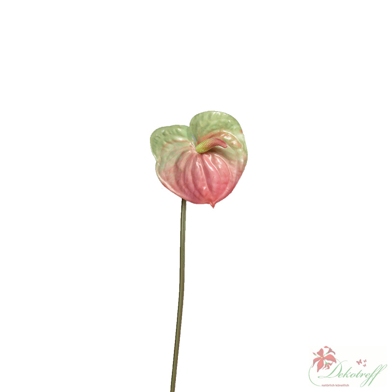 Kunst Anthurie grün-rosa 65cm Real Touch Blumen