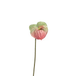 Kunst Anthurie gr&uuml;n-rosa, 50cm Real Touch Blumen