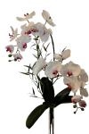 Kunstblumenstrauß Orchidee 50cm