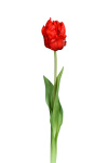 künstliche Tulpe rot 45cm