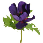 künstliche Anemone violett 38cm