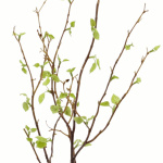 künstlicher Birken Ast Blätterzweig 115cm
