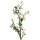 künstlicher Blütenzweig - Apfelzweig weiß 110cm