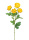 Ranunkel, gelb, 40cm Kunstblumen