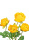 künstliche Ranunkel gelb 60cm Kunstblumen