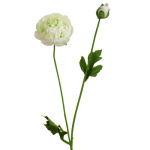 künstliche Ranunkel weiß 50cm Kunstblumen