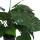 Kunstpflanzen Alocasia Cucullata 50cm