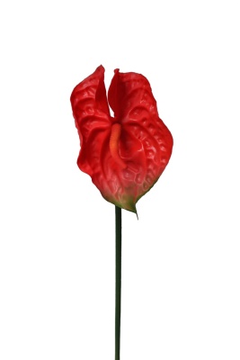 künstliche Anthurie rot 60cm Real Touch Blumen