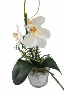 Orchideen Kunstpflanzen Glas weiss, H 18cm