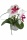 Orchideen Kunstpflanzen Glas rosa, H 18cm