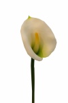 künstliche Calla weiss, 30cm Real Touch Blumen