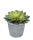 Sukkulenten künstlich Echeveria 12cm Kunstpflanzen