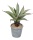 Sukkulenten künstlich Aloe 20cm Kunstpflanzen